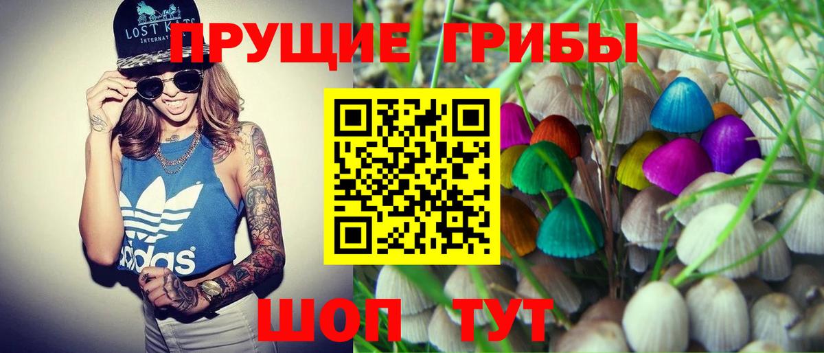 Кинешма  Псилоцибиновые грибы GOLDEN TEACHER  закладка  Вход с VPN  Галлюциногенные грибы Cubensis 