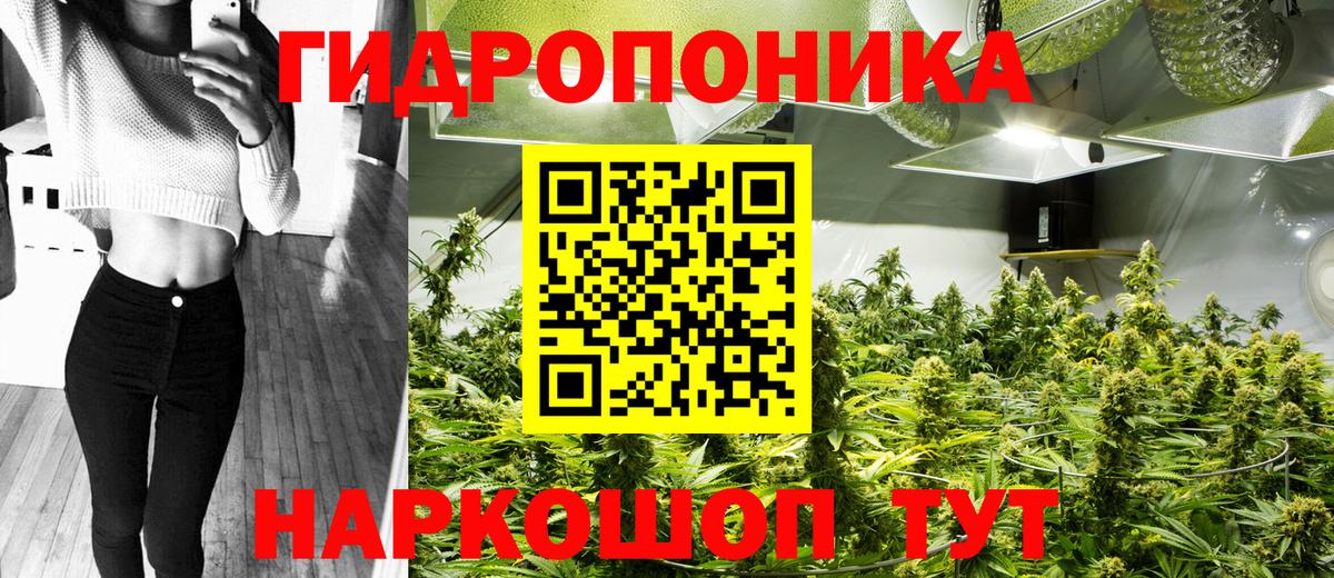 Кинешма  Канабис THC 21%  Каннабис Ganja  Шишки марихуана конопля  Вход с VPN 